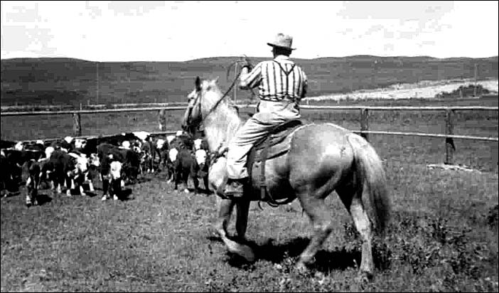 George Wesley rancher